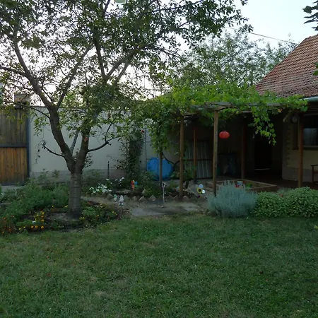 公寓 阿尔福迪文德格哈兹公寓 Hódmezővásárhely